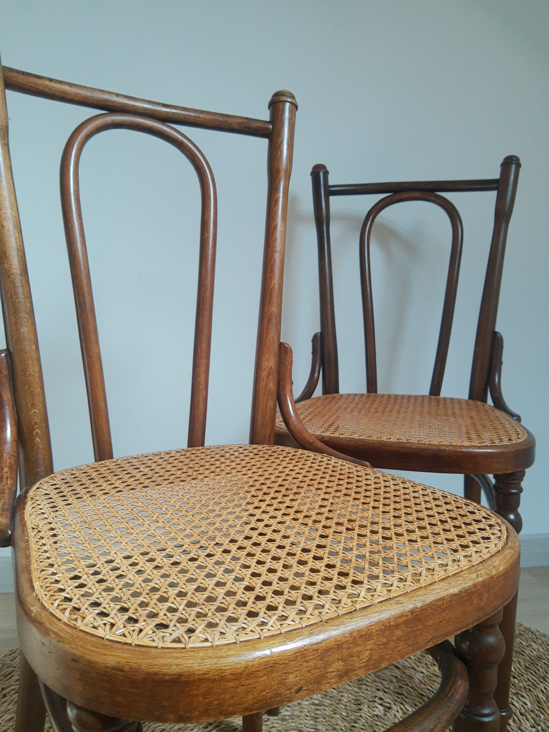 chaises-fischel-cannees